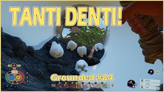 Il Barattolo Di Denti Al Latte  Grounded 084 [upl. by Omarr]