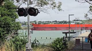 Eagle Hatteras Passing Eckley Pier From Benicia 5182024 [upl. by Norak]