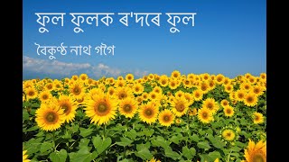 ফুল ফুলক ৰদৰে ফুল  Phool Phulok Rodore Phool  Baikuntha Gogoi [upl. by Johen258]