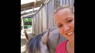 MONIQUE DE RIJK VLOG3 TRAININGSTIP VOOR EEN SOEPEL EN LENIG PAARD [upl. by Flam]