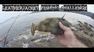 Leatherjacket Fishing Challenge  Catch n Cook [upl. by Eneres]