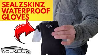 Seal Skinz Waterproof Gloves  Best Waterproof Gloves For Auto Detailing In 2021 [upl. by Leboff168]