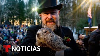 Por qué se celebra el Día de la Marmota en Estados Unidos  Noticias Telemundo [upl. by Chelsie]