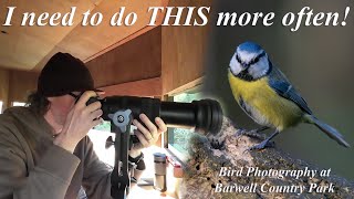 A lovely Autumnal evening of Bird and Wildlife photography in the hide [upl. by Gilbart]