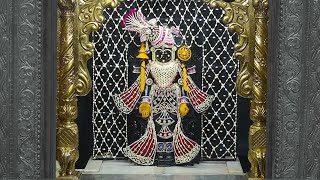 Live  Dwarka Live Darshan  dwarkadhish live darshan  Studio Avsar [upl. by Nevets214]