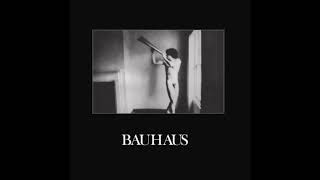 Bauhaus  Rosegarden Funeral Sores [upl. by Orabla749]