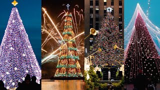 ¿Árbol navideño de 650 metros de altura 😱 Los árboles más altos del mundo 🎄🎊 [upl. by Phaedra]