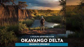 A Wildlife Adventure in the Okavango Delta [upl. by Goeselt]