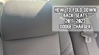 How to fold back seats down 20112023 Dodge Charger DIY video dodgecharger dodge [upl. by Aedni]