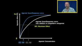 Agonist DR Curves with Competitive and Noncompetitive Antagonist [upl. by Enela]