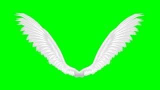 animated angel wings  green screen effect [upl. by Taylor]