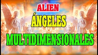 La Jerarquía de los Ángeles Alien Multidimensionales [upl. by Attenor]