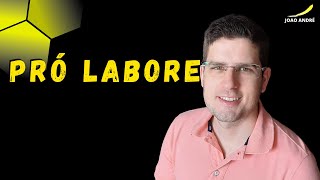 PRÓ LABORE  TUDO SOBRE PRO LABORE [upl. by Anahsit]