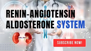 How does the ReninAngiotensinAldosterone System regulate blood pressure [upl. by Demetrius]