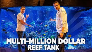 WWC Visits The Largest Private Reef Tank in America [upl. by Retsevlys]