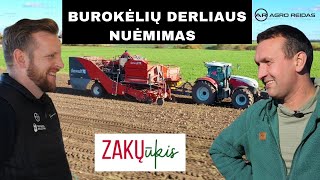 Burokėlių derliaus nuėmimas Zakų ūkyje  AGRO REIDAS [upl. by Iolenta737]