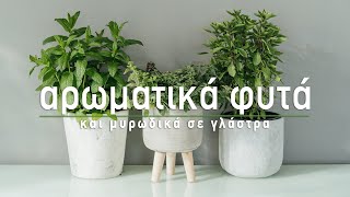 🌿 Αρωματικά φυτά και μυρωδικά σε γλάστρα  Τα Μυστικά του Κήπου [upl. by Phare503]