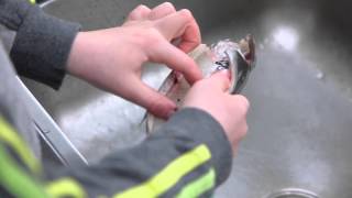 Forel klaarmaken met Viskid [upl. by Carlo583]