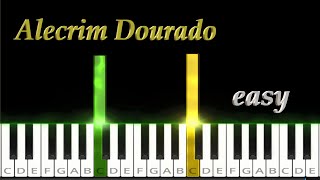 Alecrim Dourado  Childrens Song  Easy [upl. by Ailehpo635]