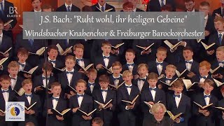 JS Bach quotRuht wohl ihr heiligen Gebeinequot  Windsbacher Knabenchor amp Freiburger Barockorchester [upl. by Mariam]