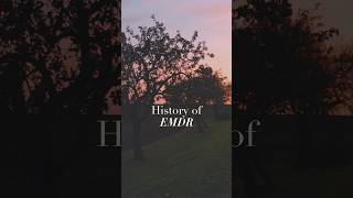 History of EMDR [upl. by Meil280]