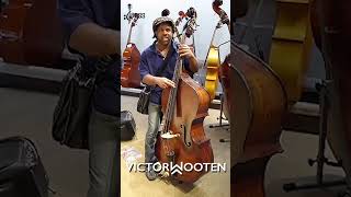 Upright Bass Solo  Victor Wooten victorwooten ChamisBass uprightbass shorts chamisbass [upl. by Harriott]