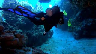 Scuba Diving Cozumel with Challenge Diving 2019 [upl. by Ingamar]