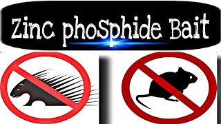 ZINC PHOSPHIDE BAIT  HOW TO CONTROL MICE RATS amp PORCUPINE [upl. by Gagliano]