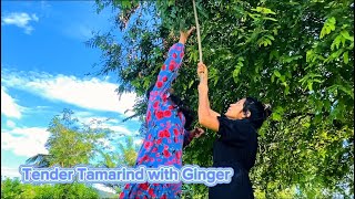 Tender Tamarind with Ginger  🥰 Let s give a try 🔔🍹🍹 සියඹලා ඉගුරු එක්ක බීලා බලමුද [upl. by North]