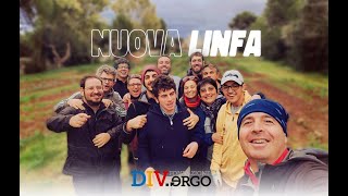 NUOVA LINFA [upl. by Redfield]