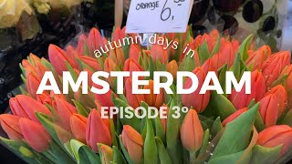 Travel Diaries  EP 3 ⋆ Autumn days in AMS🍁Bloemenmarkt Begijnhof Lover Cruise Winkel 43 Vlog [upl. by Nynahs]