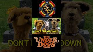 elo disco dog doglover dogs dogshorts puppy puppet rap dogcomedy agooddaytobeadog [upl. by Aneehta845]