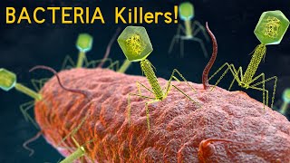 Phage Therapy The Secret Weapon Against Superbugs [upl. by Angelina]