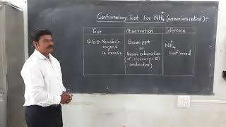 Confirmatory test for NH4 ammonium basic radical [upl. by Ojillib569]