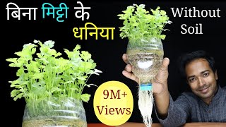 How to grow coriander at home without soil  Grow coriander or Dhaniya in Pot [upl. by Secnarfyram]