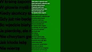 Polish Cow Lyrics foryou fypシ poland polishcow [upl. by Deegan]