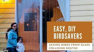 Easy DIY BirdSavers Saving Birds from Glass windowdoor collision deaths [upl. by Otinauj]