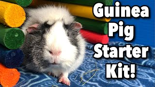 What To Buy Your New Guinea Pigs Guinea Pig Starter Kit [upl. by Lelia]