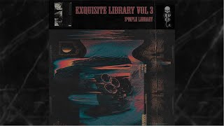 20 quotExquisite Library Vol 3quot FREE Loop and Sample Pack Pvlace Pyrex Cubeatz style [upl. by Palila378]