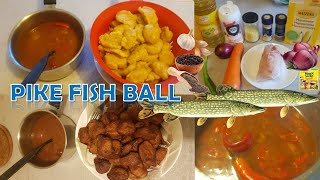 Homemade Fish Ball PIKE Fish Free from LAKE [upl. by Harriette]