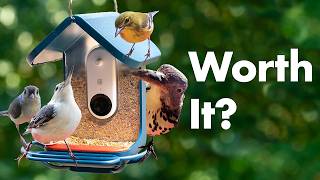 Bird Buddy Smart Bird Feeder Review  6 Months Later [upl. by Huber]