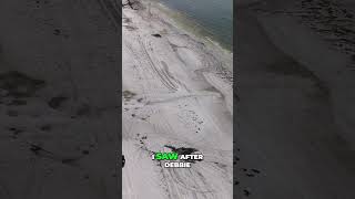 Fort Myers Beach Seaweed Cleanup After Hurricane Helene [upl. by Heer]