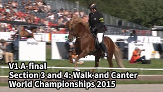 V1 A final Section 3 and 4 WC Icelandic Horses IslandpferdeWM VM Islandshästar 2015 [upl. by Pomcroy]