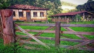 O Melhor Do Sertanejo Raiz  02 Horas só de relíquias [upl. by Einal]