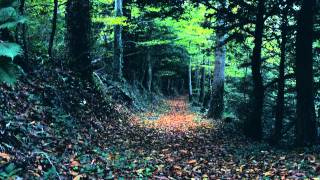 Front Porch Step  Lullaby Sub Español [upl. by Goodhen]