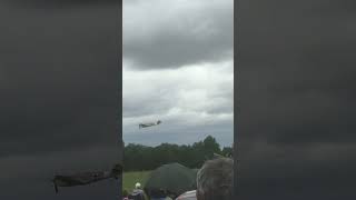 Sweet sounding Buchon merlin Turn the sound up [upl. by Frederick66]