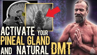 The SIMPLEST WAY to ACTIVATE your PINEAL GLAND and NATURAL BOOST OF DMT  With WIM HOF [upl. by Greenland]