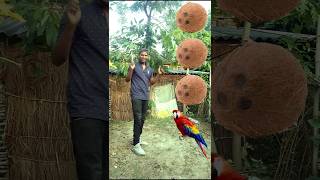 Rounding coconut to Duck PeacockPigeonamp Parrot  Birds names magicvideo [upl. by Ailecec795]