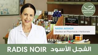 🥕 Le radis noir « roi de la détox » pour soulagerdrainer le foie avec Dr Nadia Aiouch 👩‍⚕️ [upl. by Laktasic]