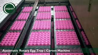 How to make egg trays  Good Business Plan [upl. by Aikaz]